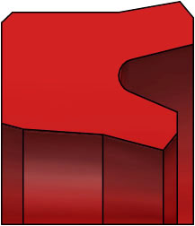 DS101